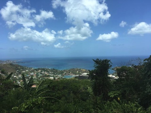 View of St. Georges, Grenada